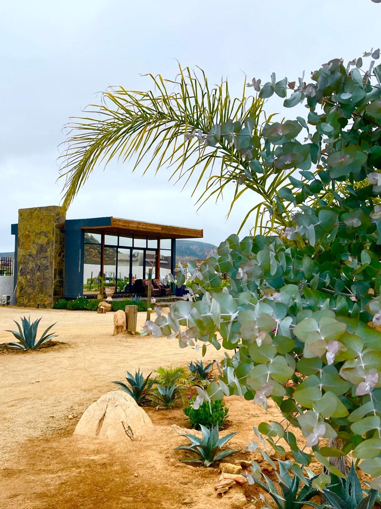 Hacienda 7 Amores El Porvenir 外观 照片