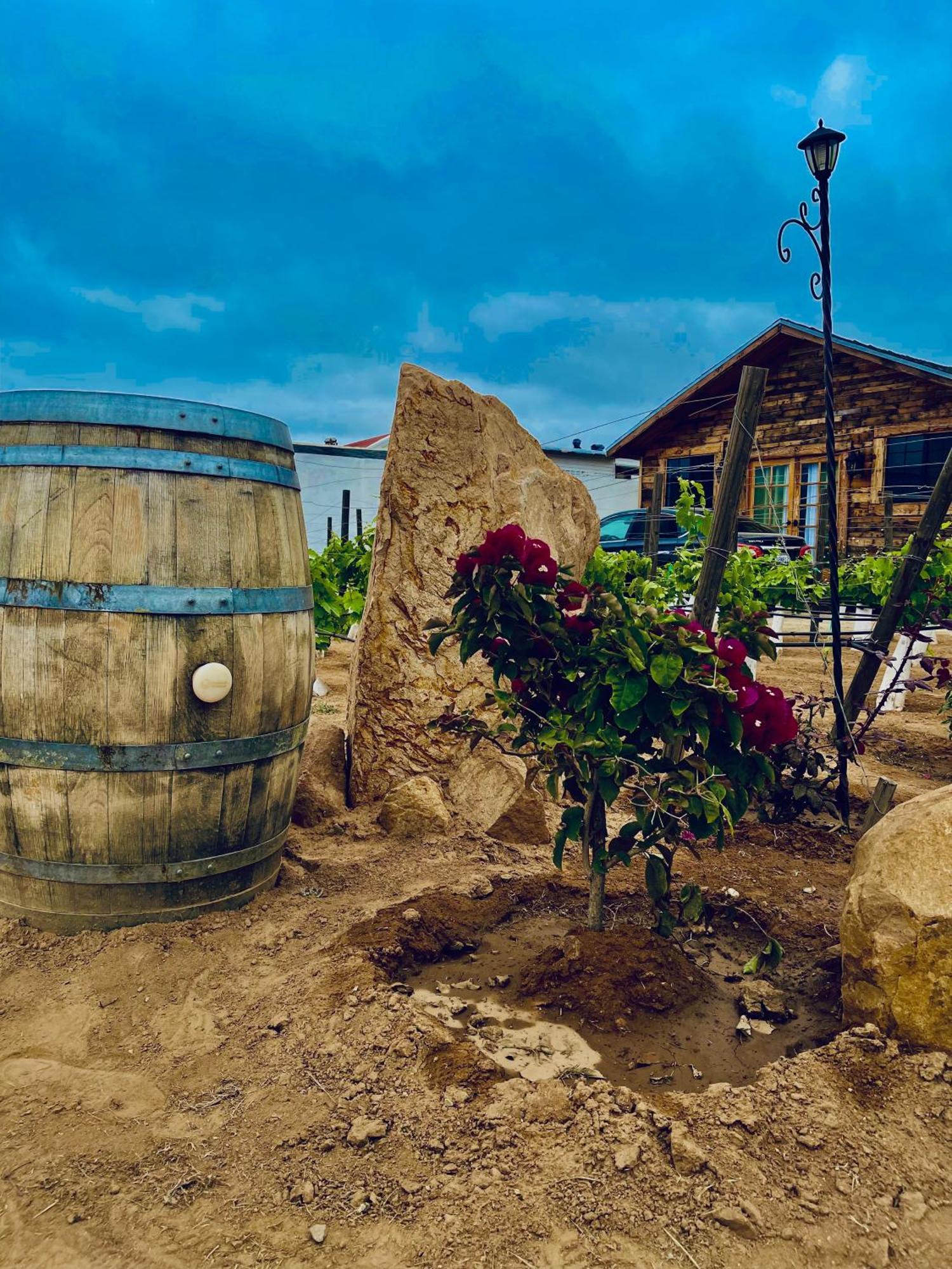 Hacienda 7 Amores El Porvenir 外观 照片