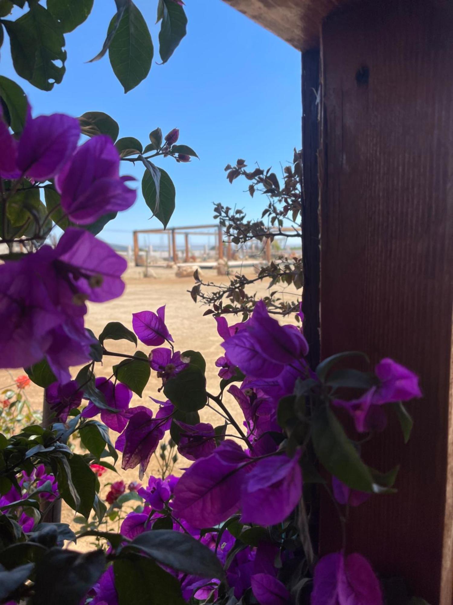 Hacienda 7 Amores El Porvenir 外观 照片